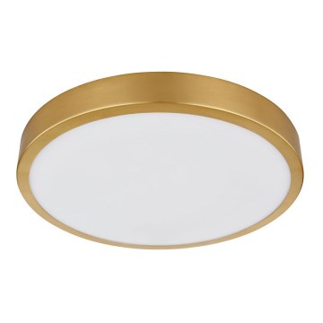 Globo - LED-kattovalaisin LED/15W/230V halkaisija 25 cm