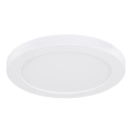 Globo - LED-kattovalaisin LED/18W/230V 3000/4000/6500K valkoinen