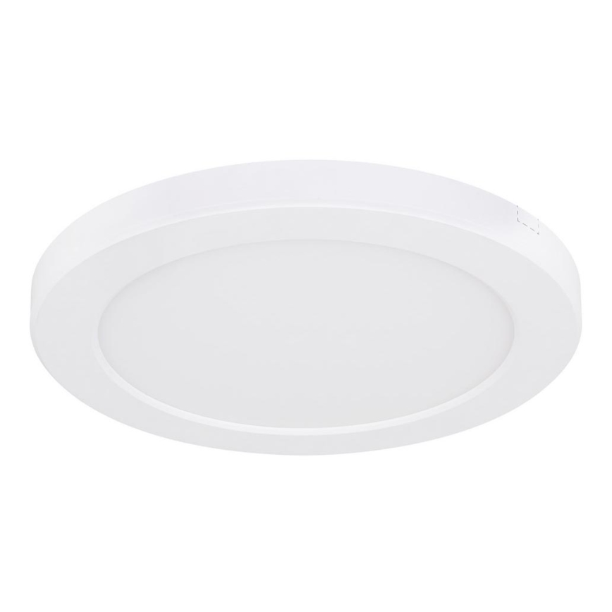 Globo - LED-kattovalaisin LED/18W/230V 3000/4000/6500K valkoinen