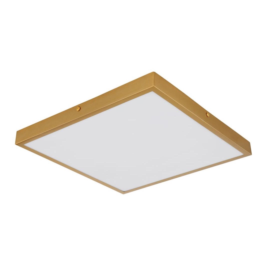 Globo - LED-kattovalaisin LED/22W/230V 35x35 cm