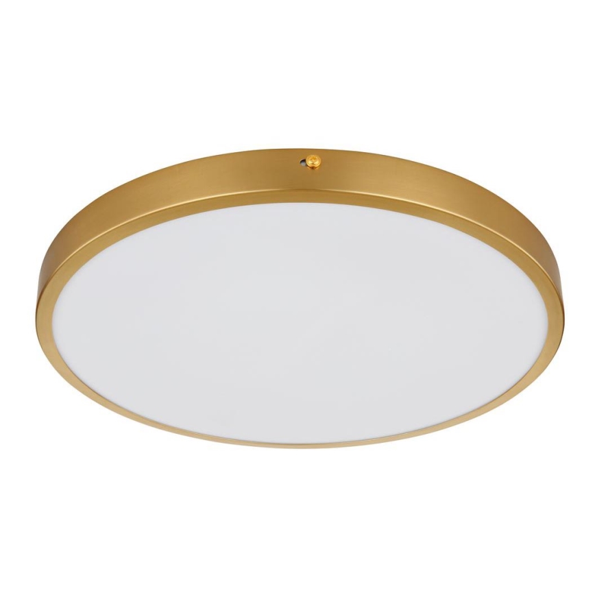 Globo - LED-kattovalaisin LED/22W/230V halkaisija 35 cm