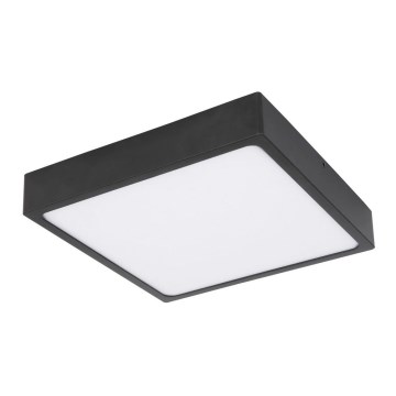 Globo - LED-kattovalaisin LED/22W/230V