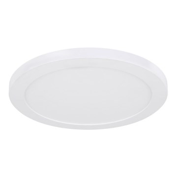 Globo - LED-kattovalaisin LED/24W/230V 3000/4000/6500K valkoinen