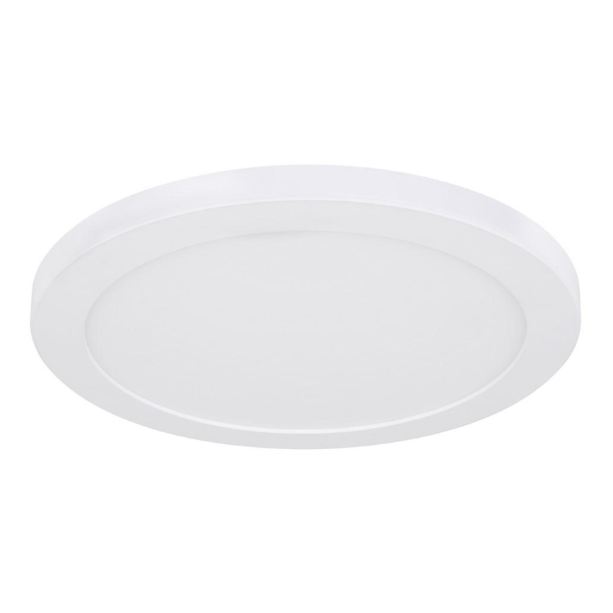 Globo - LED-kattovalaisin LED/24W/230V 3000/4000/6500K valkoinen