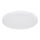 Globo - LED-kattovalaisin LED/24W/230V 3000/4000/6500K valkoinen