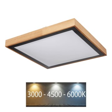 Globo - LED-kattovalaisin LED/24W/230V 3000/4500/6000K