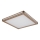 Globo - LED-kattovalaisin LED/24W/230V 45x45 cm