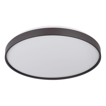 Globo - LED-kattovalaisin LED/24W/230V halkaisija 48 cm antrasiitti