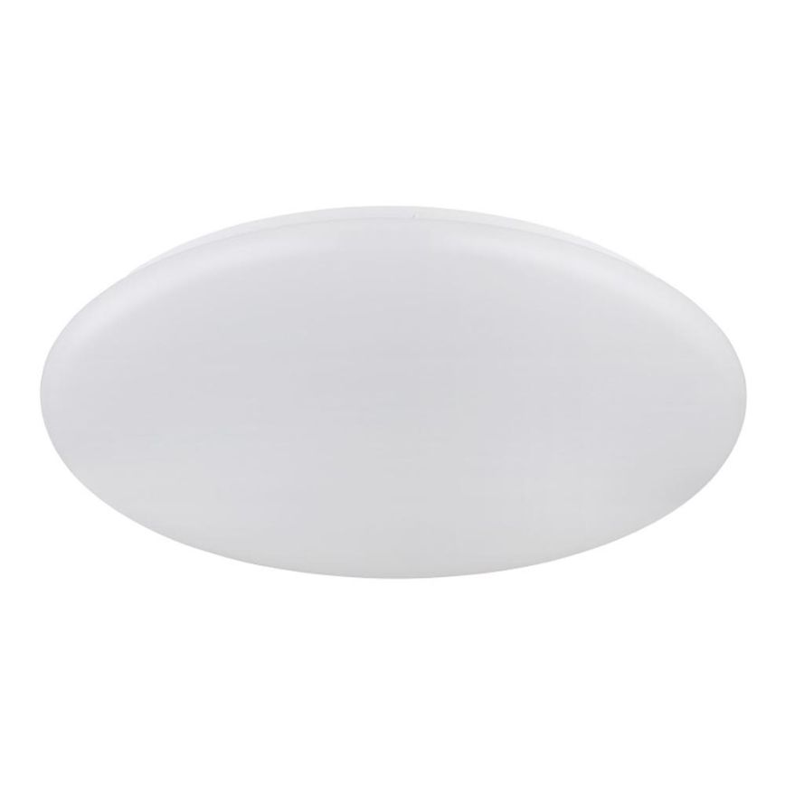 Globo - LED-kattovalaisin LED/24W/230V halkaisija 49,5 cm valkoinen