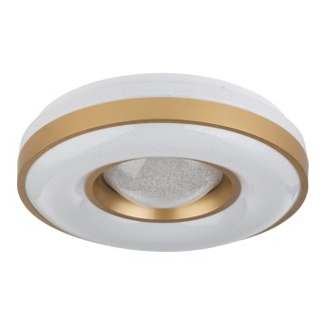 Globo - LED-kattovalaisin LED/24W/230V
