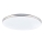 GLOBO - LED-kattovalaisin LED/24W/230V