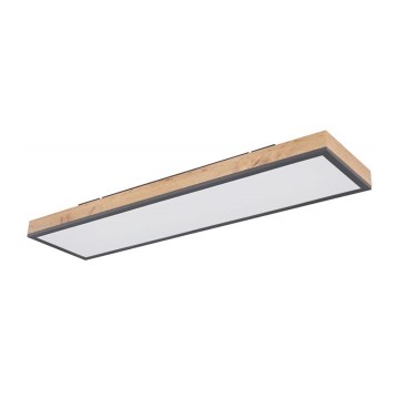 Globo - LED-kattovalaisin LED/24W/230V