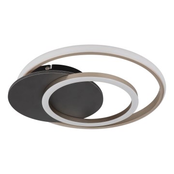 Globo - LED-kattovalaisin LED/24W/230V