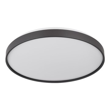 Globo - LED-kattovalaisin LED/24W/230V