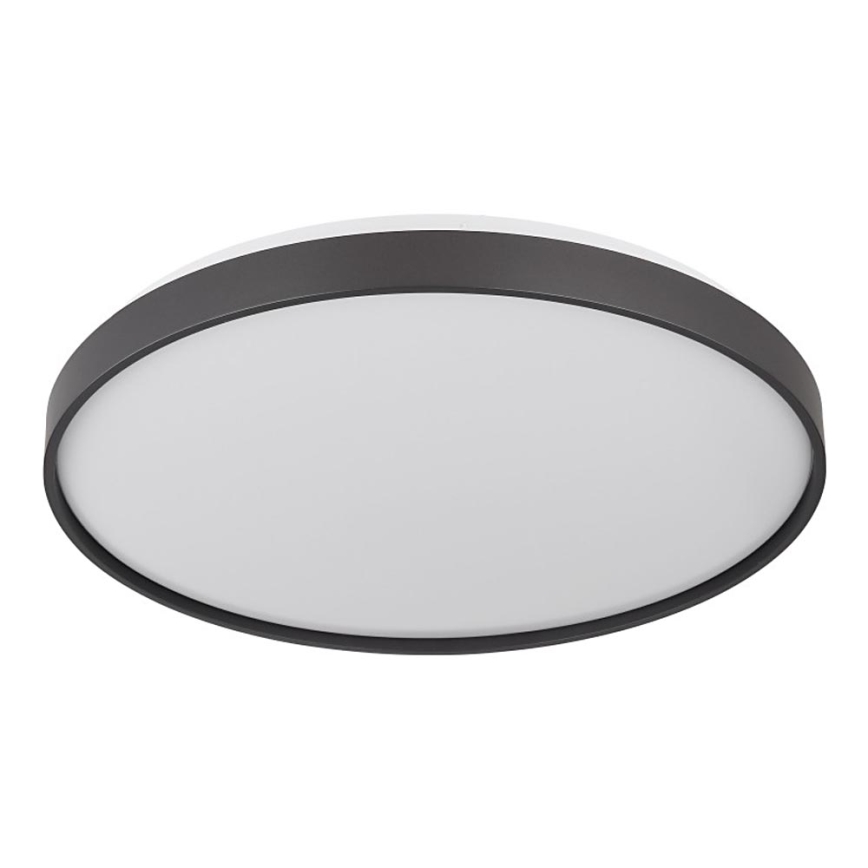 Globo - LED-kattovalaisin LED/24W/230V