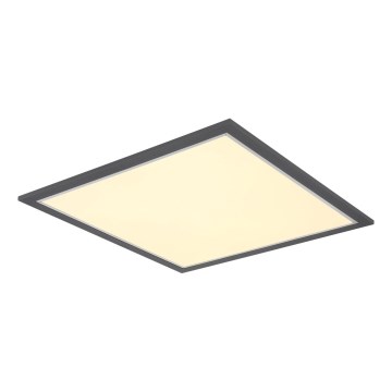 Globo - LED-kattovalaisin LED/24W/230V