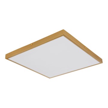 Globo - LED-kattovalaisin LED/30W/230V 45x45 cm