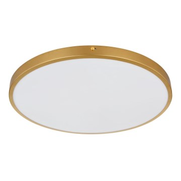Globo - LED-kattovalaisin LED/30W/230V halkaisija 45 cm