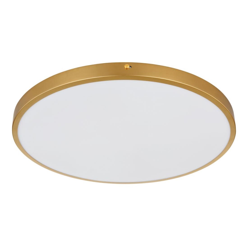 Globo - LED-kattovalaisin LED/30W/230V halkaisija 45 cm