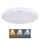 Globo - LED-kattovalaisin LED/32W/230V 3000/4000/6000K