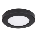 Globo - LED-kattovalaisin LED/6W/230V 3000/4000/6500K musta