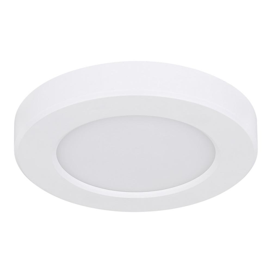 Globo - LED-kattovalaisin LED/6W/230V 3000/4000/6500K valkoinen