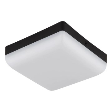 Globo - LED-kattovalaisin LED/8W/230V 4000K 12x12 cm musta