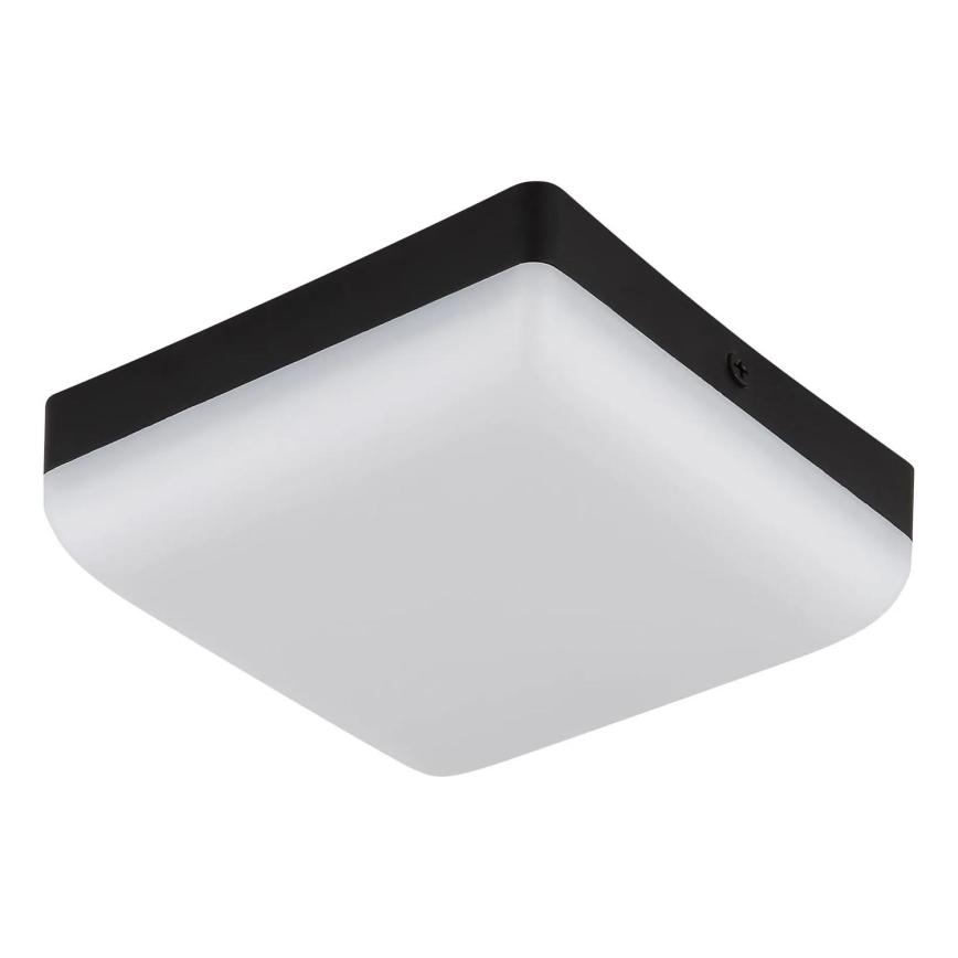 Globo - LED-kattovalaisin LED/8W/230V 4000K 12x12 cm musta