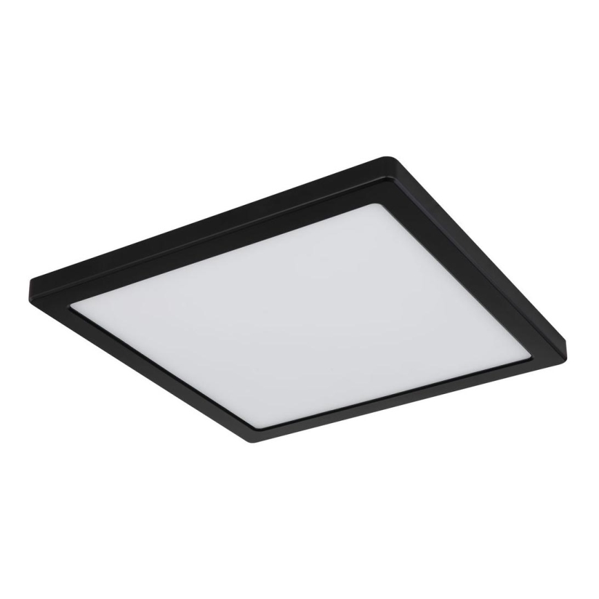 Globo - LED Kattovalo LED/24W/230V 3000/4000/6500K musta
