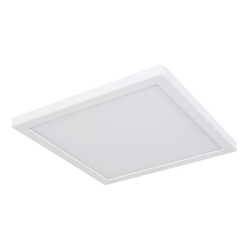 Globo - LED Kattovalo LED/24W/230V 3000/4000/6500K valkoinen