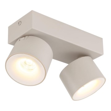 Globo - LED-kohdevalaisin 2xLED/6W/230V