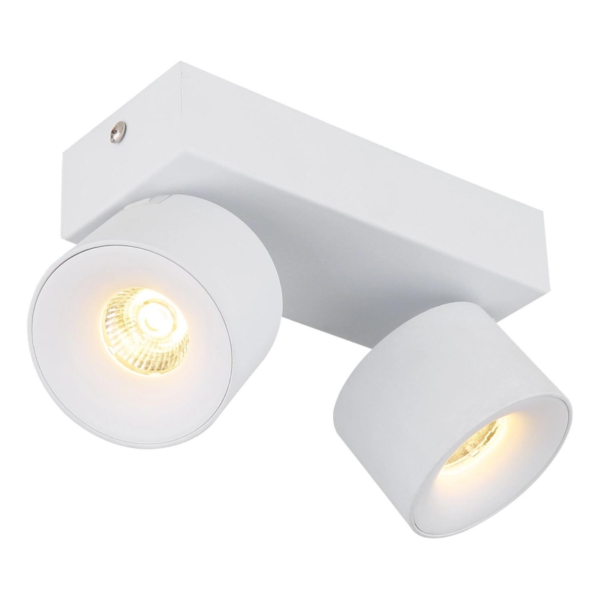 Globo - LED-kohdevalaisin 2xLED/6W/230V valkoinen