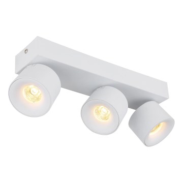 Globo - LED-kohdevalaisin 3xLED/6W/230V valkoinen