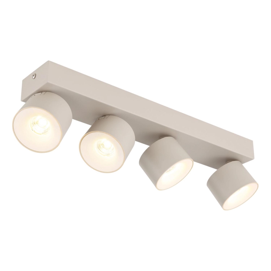 Globo - LED-kohdevalaisin 4xLED/6W/230V