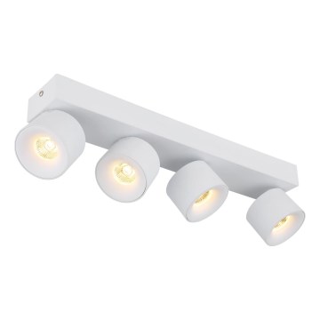 Globo - LED-kohdevalaisin 4xLED/6W/230V valkoinen