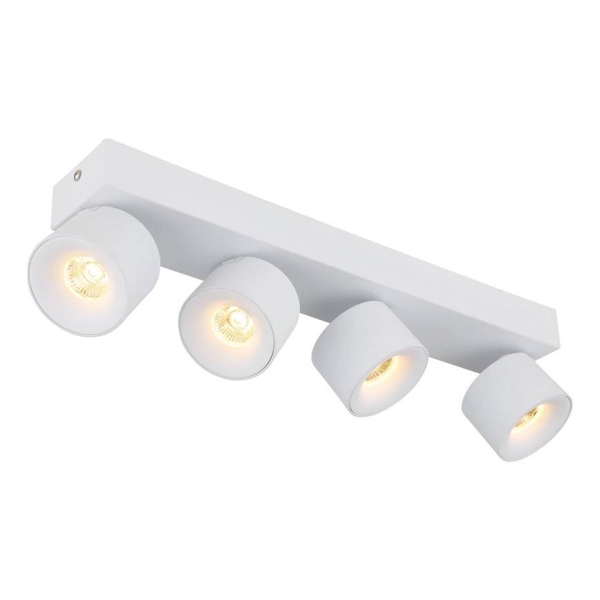 Globo - LED-kohdevalaisin 4xLED/6W/230V valkoinen