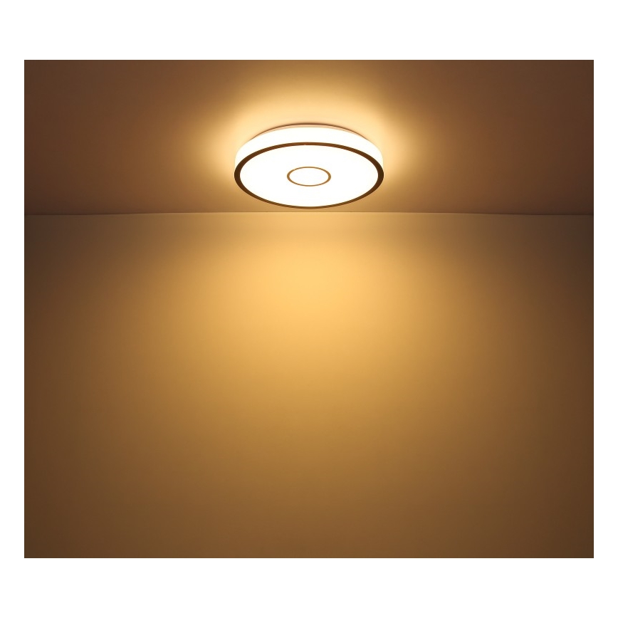 Globo - LED RGB Kylpyhuoneen himmennysvalo LED/30W/230V IP44 Wi-Fi Tuya + kauko-ohjaus