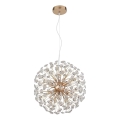Globo - LED-riippuvalaisin vaijerilla 8xG9/3,5W/230V halkaisija 40 cm kultainen