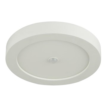 Globo - LED-ulkokattovalaisin anturilla 1xLED/18W/230V IP44