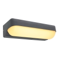 Globo - LED-ulkoseinävalaisin LED/10W/230V IP54