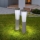 Globo - SETTI 2x LED aurinkovalo SOLAR LED/0,1W/3V 6000K IP44