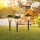Globo - SETTI 3x LED-aurinkolamppu 3xLED/1,2V IP44