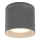Globo - Ulkokattovalo 1xGX53/11W/230V IP44