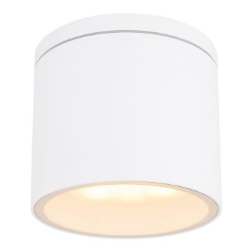 Globo - Ulkokattovalo 1xGX53/11W/230V IP44