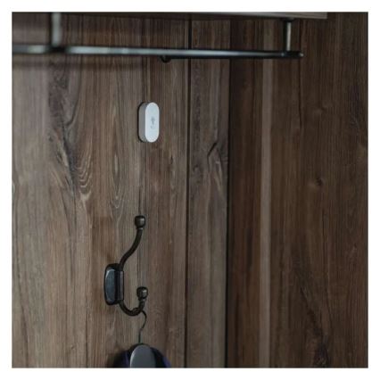 GoSmart digitaalinen langaton lämpömittari 1×CR2032