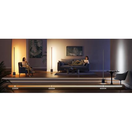 Govee - Himmennettävä LED-lattiavalaisin kaiuttimella Pro RGBICWW 2200-6500K Wi-Fi + kauko-ohjaus