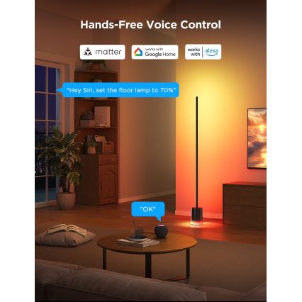 Govee - Himmennettävä LED-lattiavalaisin Smart MATTER LED RGBICWW 2200-6500K Wi-Fi + kauko-ohjaus