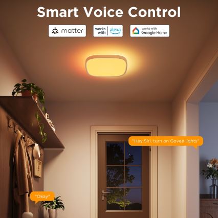 Govee - LED RGBIC Himmennettävä kattovalaisin LED/24W/230V 2700-6500K Wi-Fi