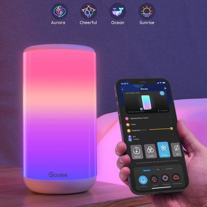 Govee - LED RGBIC Himmennettävä pöytävalaisin AURA 2 2200-6500K Wi-Fi Matter
