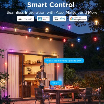 Govee - LED RGBICW Himmennettävä ulko koristeellinen ketju LED/24W/230V IP67 2700-6500K Wi-Fi